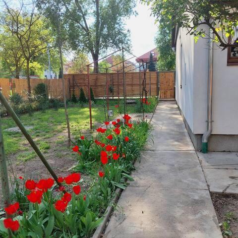Ujszeged Apartman Exteriör bild