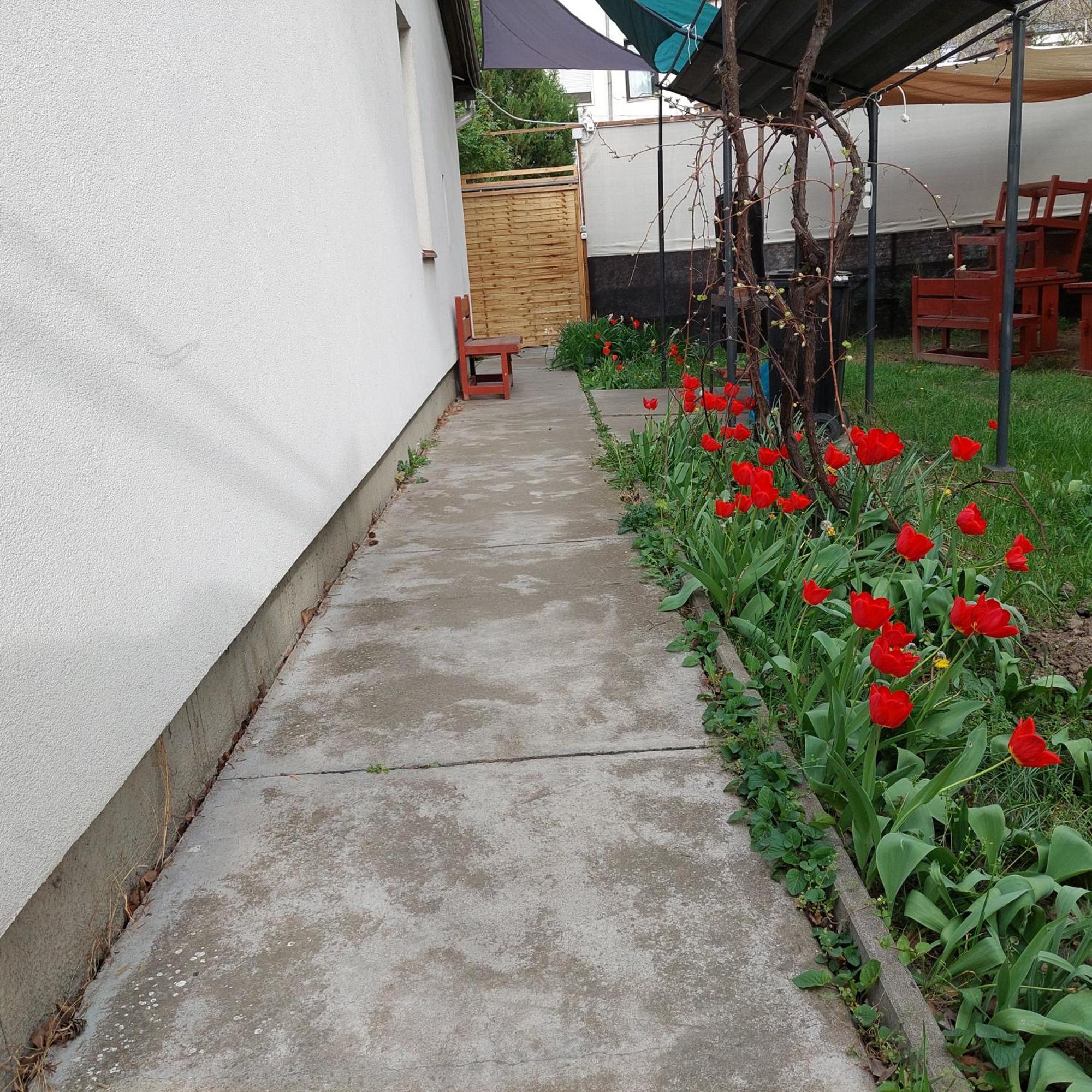 Ujszeged Apartman Exteriör bild